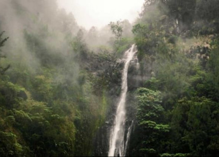 Air Terjun Tertinggi di Jawa Timur, Destinasi Wisata Alam untuk Pecinta Trekking