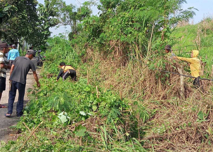 Sangat Berbahaya, Kabel Arus Tinggi PLN di Desa Karet Jaya Menjalar Sampai Menyentuh Tanah