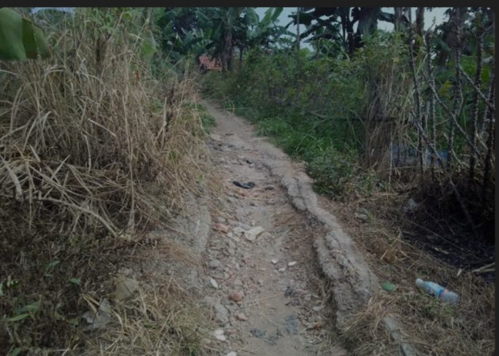 Masyarakat Desa Tekana Keluhkan Jalan Rusak Menuju Perkebunan