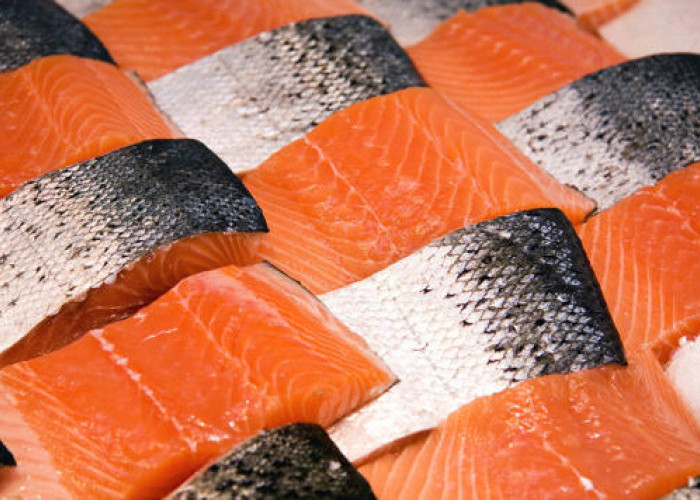 Manfaat Kulit Salmon yang Tidak Terduga dan Cara Menikmatinya