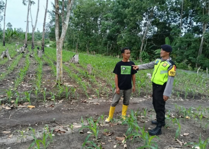 Bhabinkamtibmas Polsek BSA Cek Ketahanan Pangan di Desa Binaan