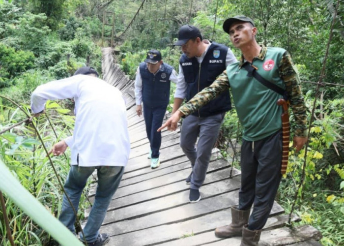 Bupati OKU Selatan Tinjau Jembatan Gantung Putus di Kisam Ilir, Perbaikan Segera Diupayakan