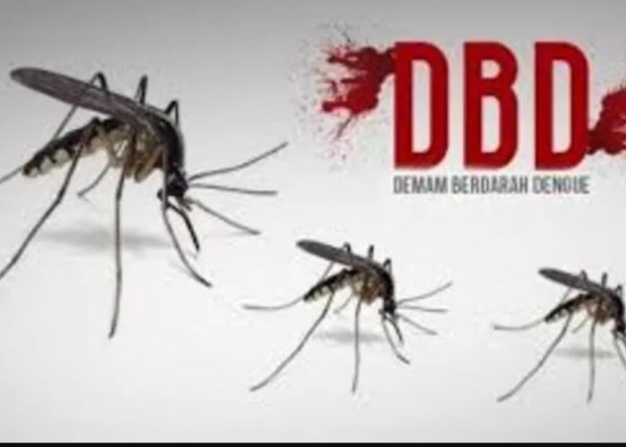 Kasus DBD Meningkat di Sejumlah Daerah, Pemerintah Gencarkan Fogging dan Edukasi
