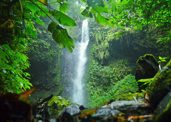 Dibalik Pesona OKU Selatan  yang Tersembunyi Ada Puluhan Air Terjun Menawan yang Masih Alami