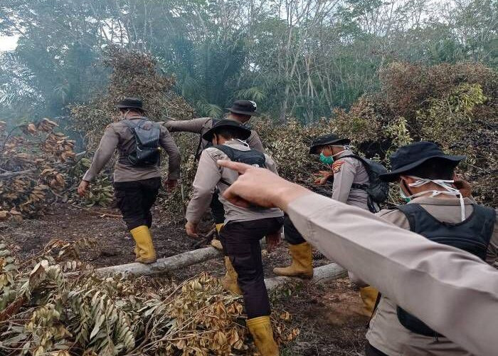 Operasi Pemadaman Karhutla di Indralaya Utara, Tim Gabungan Berhasil Mengatasi Api dengan Water Bombing