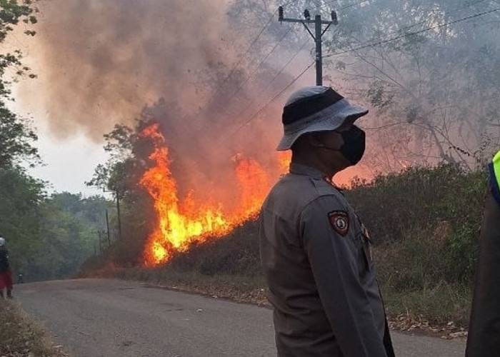10 Hektar Lahan Milik PT Sumbawa Terbakar