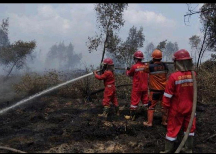 Sejumlah Daerah Ajukan Status Siaga Karhutla Lebih Awal, Antisipasi Musim Kemarau 2026