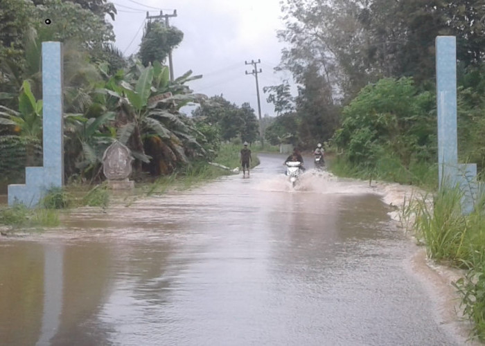 Diguyur Hujan Deras, Akses Jalan Propinsi Terendam Banjir