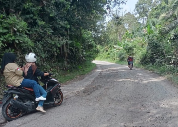 Ruas Jalan Buay Runjung Puluhan KM Rusak