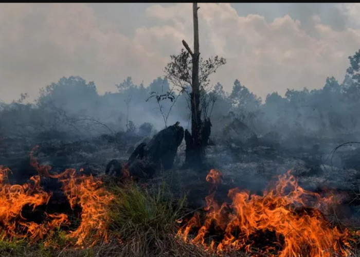Waspada Karhutla, Sumsel Mulai Terdeteksi Titik Panas Jelang Musim Kemarau