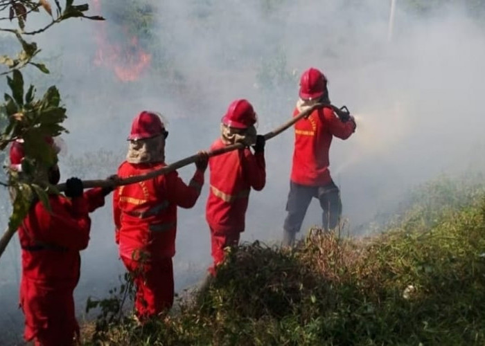 Halo Polisi, Kebakaran Hutan Terjadi di Ruas Tol Kayuagung-Palembang