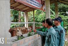 Pemerintah Kecamatan Muaradua Monev Program Ketahanan Pangan Desa Batu Belang II