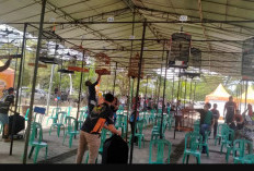 Pagelaran Kicau Burung Jadi Hiburan Komunitas di Lahat, Ratusan Peserta Ramaikan Tepian Ayek Lematang