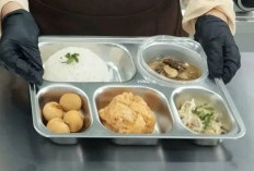 MBG Serap Hampir Satu Juta Tenaga Kerja Lewat Dapur SPPG/PL