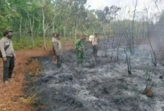 BPBD Catat 33 Bencana Terjadi di Sumsel Sejak Awal Tahun