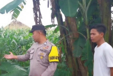 Bhabinkamtibmas Buay Runjung Ajak Warga Manfaatkan Lahan Kosong untuk Ketahanan Pangan
