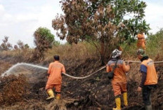 Karhutla Sumsel 2025 Capai 5.939,8 Hektare, OKI Jadi Daerah Terluas Terbakar