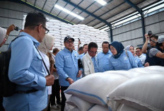 Anggota DPR Pastikan Stok Beras Nasional Aman Jelang Ramadhan, Masyarakat Diminta Tenang