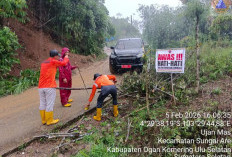 BPBD OKU Selatan Tinjau Lokasi Longsor di Sungai Are, Akses Jalan Kembali Bisa Dilalui