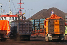Polisi Gagalkan Pengiriman 80 Ton Batu Bara Ilegal di OKU