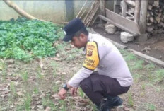 Polsek Kisam Tinggi Ajak Warga Manfaatkan Pekarangan Tanam Sayur