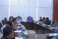 Dukung Translokasi Gajah Sumatera, Pemkab OKU Selatan Tegaskan Komitmen Jaga Habitat