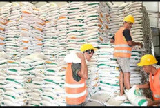 Stok Beras Nasional Dipastikan Aman Jelang Ramadan dan Idulfitri