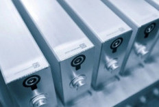 BYD investasi Rp2,1 triliun untuk pabrik baterai baru di Vietnam