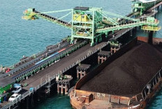 Batu Bara Masih Jadi Sumber Energi Stabil dan Mudah Diakses Banyak Negara