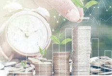 5 Daerah Sumsel Jadi Tujuan Investasi, OKI dan Palembang Tertinggi