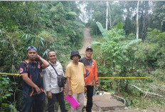 Bupati OKU Selatan Imbau Warga Tingkatkan Kewaspadaan Pascajembatan Putus di Simpang Sender Tengah