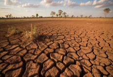 Kemarau di Sumsel Diprediksi Mulai Mei, Berlangsung hingga 5 Bulan