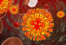 Virus Nipah, Kabupaten Tangerang Siapkan RS Khusus