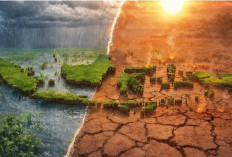 Kapan Musim Kemarau 2026 di Indonesia Dimulai? Begini Kata BMKG