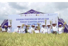 Pemerintah Percepat Realisasi Program Strategis Nasional, Fokus Infrastruktur dan Ketahanan Pangan