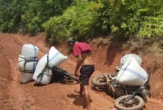 Akses Lumpuh! Warga Tebing Batu Harapkan Perbaikan Jalan Rusak di Buay Pemaca