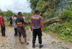 Warga Lingkungan 7 Pasar Lama Gotong Royong Bersihkan Jalan dan Benahi Pos Kamling