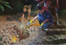 Tragis! Anak Tega Mutilasi Ibu Kandung di Lahat, Warga Geger