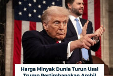 Harga Minyak Dunia Turun Tajam Usai Pernyataan Trump soal Selat Hormuz