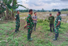 Camat Buay Runjung Tinjau Persiapan KopDes Merah Putih di NBB dan Sugihwaras