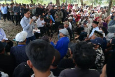 Wapres Gibran Turun ke Sentra Singkong, Siapkan Solusi Harga hingga Pembatasan Impor