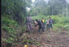 Warga Bandar Alam Lama Kompak Gotong Royong Perbaiki Akses Jalan Desa
