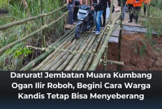 Darurat! Jembatan Muara Kumbang Ogan Ilir Roboh, Warga Kandis Cari Cara Bertahan Menyeberang