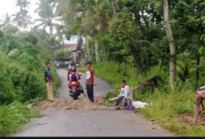 Longsor Putus Akses Rantau Nipis–Mekakau Ilir, Warga Bergerak Cepat Lakukan Penanganan Darurat