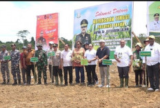 Pemerintah Percepat Pembangunan Lumbung Pangan Nasional, Perkuat Ketahanan Pangan 2026