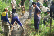 6 Tahun Tanpa Menunggu: Warga Aromantai Swadaya Cor Jalan Kebun, 11 Sak Semen Langsung Dipasang