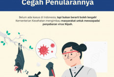 Kemenkes Tegaskan Belum Ada Kasus Positif Virus Nipah di Indonesia, Fokus Waspada dan Pencegahan