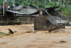 Hujan Deras, 125 RT dan 14 Ruas Jalan di Jakarta Masih Terendam