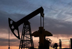 Harga Minyak Dunia Turun Usai Trump Prediksi Perang Iran Segera Berakhir, Pasar Asia Menguat