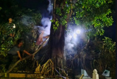 Disdamkar OKU Selatan Padamkan Api Malam Hari di Area Makam Simpang